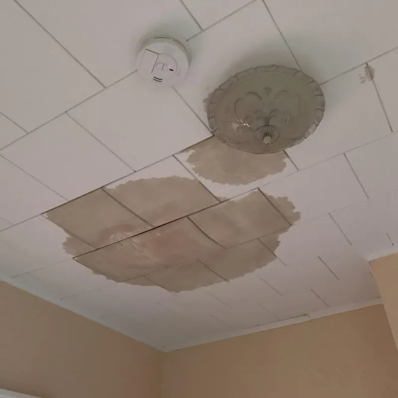 Ceiling Water Damage Repair in Poth, TX