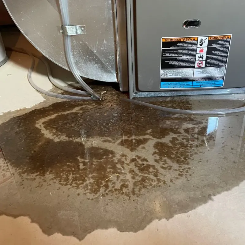 Pipe Burst and Leak Restoration in Poth, TX