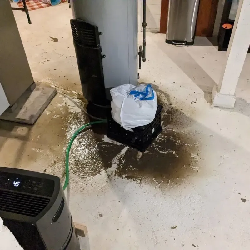 Sewage Backup Cleanup Service in Poth, TX